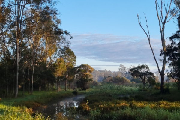 oxley-queensland-sda-environment (4)